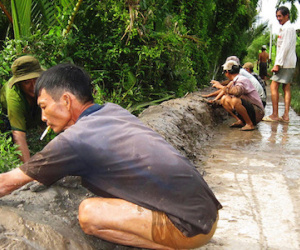 Triều cường gây vỡ đê ở Bến Tre