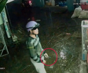 Video: Cướp táo tợn cầm hung khí vào tận nhà dân cướp điện thoại