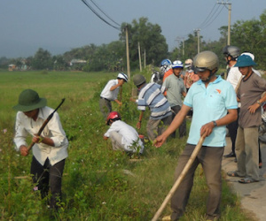 Đà Nẵng: Làm tình nguyện, bí thư chi bộ xã bị cây gạt ngã tử vong