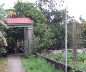 Cô giáo tiểu học tự tử tại nhà riêng