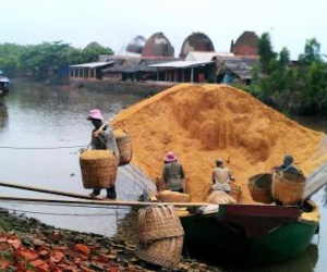 Trấu - rơm Việt Nam đổi đời, trở thành hàng hiếm