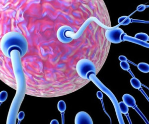 10 tác nhân không ngờ làm suy yếu tinh trùng