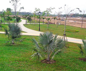 Khách mua đất nền tố môi giới bán giá gấp đôi chủ đầu tư