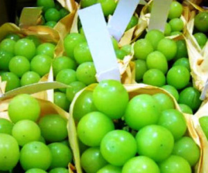 Nho mẫu đơn giá hơn triệu đồng một kg
