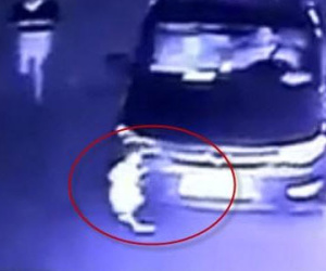 Những vụ tai nạn thương tâm của trẻ nhỏ chỉ vì cha mẹ mê điện thoại
