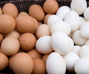 Sự khác nhau giữa trứng gà trắng và nâu
