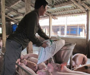Ám ảnh chất tăng trọng đến bao giờ?