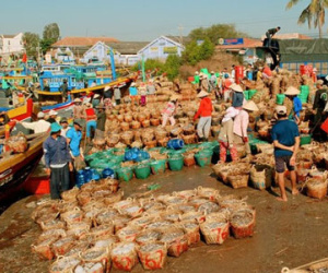 Sẽ lấy ý kiến chuyên gia nước ngoài về chất lượng nước mắm