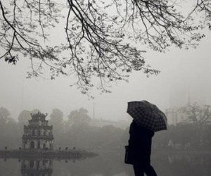 Ảnh bìa bài viết 404075