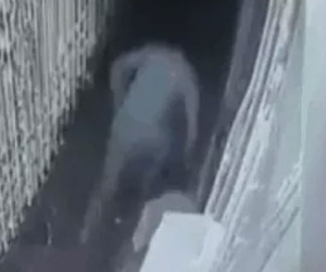 Hà Nội: Kẻ biến thái "tự sướng" rồi sàm sỡ cô gái trẻ trong hẻm tối