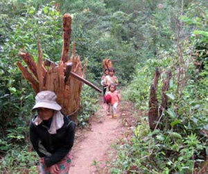 Làng sớm tối đều say xỉn: Gọi nhau đi uống rượu từ 5 giờ sáng
