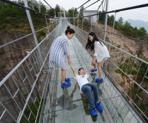 Hai cô gái kéo thanh niên run sợ qua cầu đáy kính