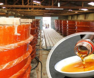 Bộ Nông nghiệp sẽ làm rõ ranh giới nước mắm, nước chấm