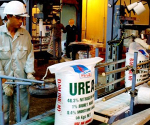 Phân bón không chịu thuế VAT - nông dân là người chịu thiệt?