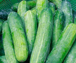 6 không khi ăn dưa chuột, gia đình Việt nào cũng phải biết