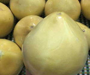 Bưởi lạ vàng bóng: Tò mò ăn thử, lo sợ nguồn gốc