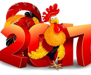 Đặt tên cho con gái sinh năm Đinh Dậu 2017 ý nghĩa, nhiều may mắn
