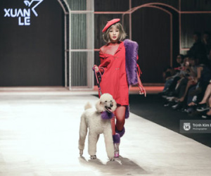 Chi Pu kiêu kì "dắt cún" trình diễn thời trang trên sàn diễn VIFW