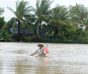 Tang thương vùng lũ Phú Yên