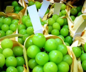Đua nhập trái cây lạ giá tiền triệu về bán