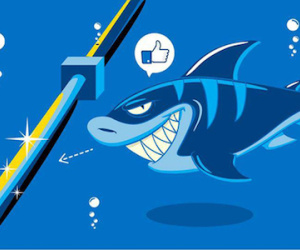 Cá mập có thực sự cắn cáp quang biển?