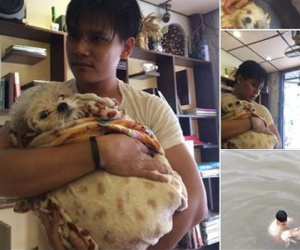 Chàng trai nhảy xuống kênh cứu chó vấp phải tin đồn... tự thả chó xuống nước để "diễn sâu"