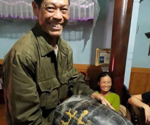 Đi hái rau muống phát hiện rùa “khủng”