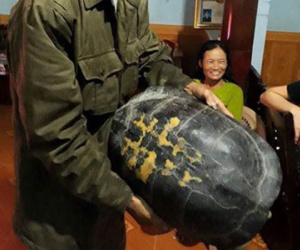 “Cụ” rùa 16 kg được thả về tự nhiên