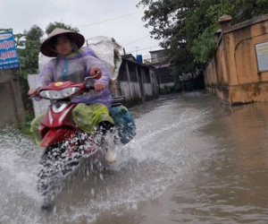 Nghệ An: Mưa lớn, học sinh nghỉ học, dân mang vợt ra bắt cá