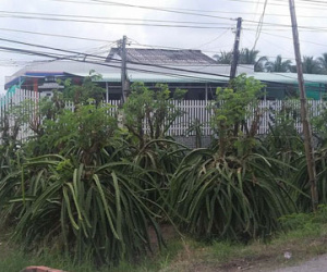 Ảnh bìa bài viết 406588