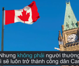 Clip: Dân Mỹ rục rịch tìm cách sang Canada định cư
