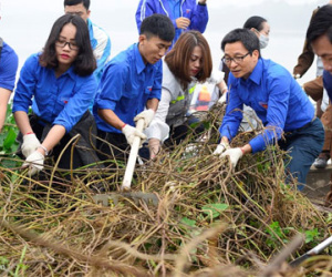 Phó thủ tướng Vũ Đức Đam cùng sinh viên dọn rác