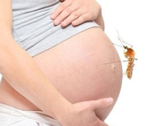 Một thai phụ nhiễm Zika sinh con không bị tật đầu nhỏ