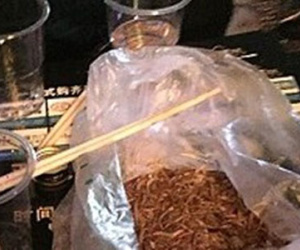 Không đạt chỉ tiêu bán hàng, nhân viên bị phạt ăn giun sống