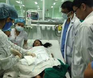 Nữ giáo viên nguy kịch vì bị ong vò vẽ đốt gần 100 mũi
