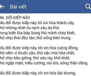 Nữ sinh lớp 8 gây bất ngờ với bài thơ về môi trường