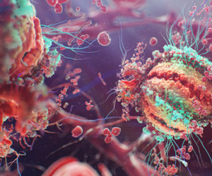 Đột phá mới: Phát hiện kháng thể vô hiệu hóa được 98% các chủng virus HIV