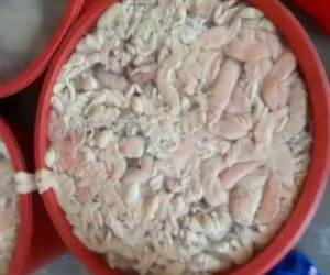 Kinh hãi phát hiện 1,4 tấn lòng heo thối đang được ngâm hóa chất tẩy