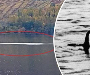 Tìm thấy lời giải về quái vật hồ Loch Ness?