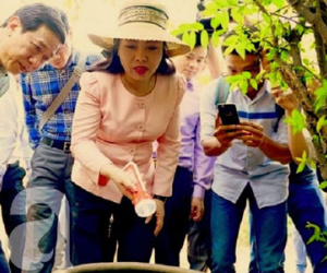TP.HCM: Thêm 2 quận Gò Vấp và Phú Nhuận có người nhiễm virus Zika