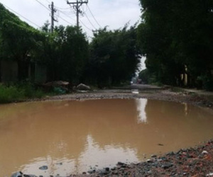 Sau mưa, “ao cá” xuất hiện trên đường phố Sài Gòn