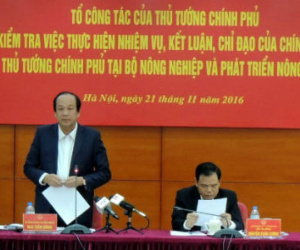Thủ tướng: Không 'xử lý nội bộ' vụ cấp khống 800 giấy lưu hành thuỷ sản