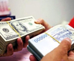USD lên giá bằng Euro: Ôm đôla lãi bỏng tay