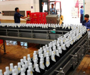 Chưa lên sàn, Sabeco đã bị phạt 100 triệu đồng