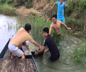 Công an kịp thời cứu người phụ nữ chới với giữa sông