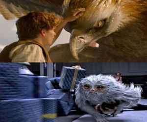 "Fantastic Beast" bị chèn ép vì phim của Phạm Băng Băng
