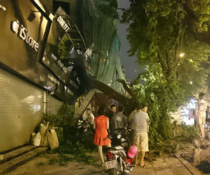 Hà Nội: Cơn lốc bất ngờ xuất hiện trong đêm quật đổ cây cổ thụ trên phố