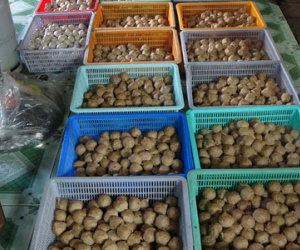 Phạt 40 triệu đồng cơ sở biến thịt thối thành bò viên