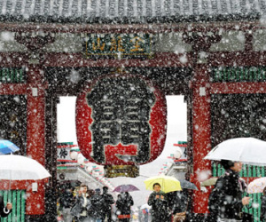 Tokyo lần đầu có tuyết tháng 11 trong hơn nửa thế kỷ