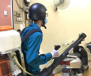 Lạnh dưới 16 độ C, virus Zika sẽ bị tiêu diệt